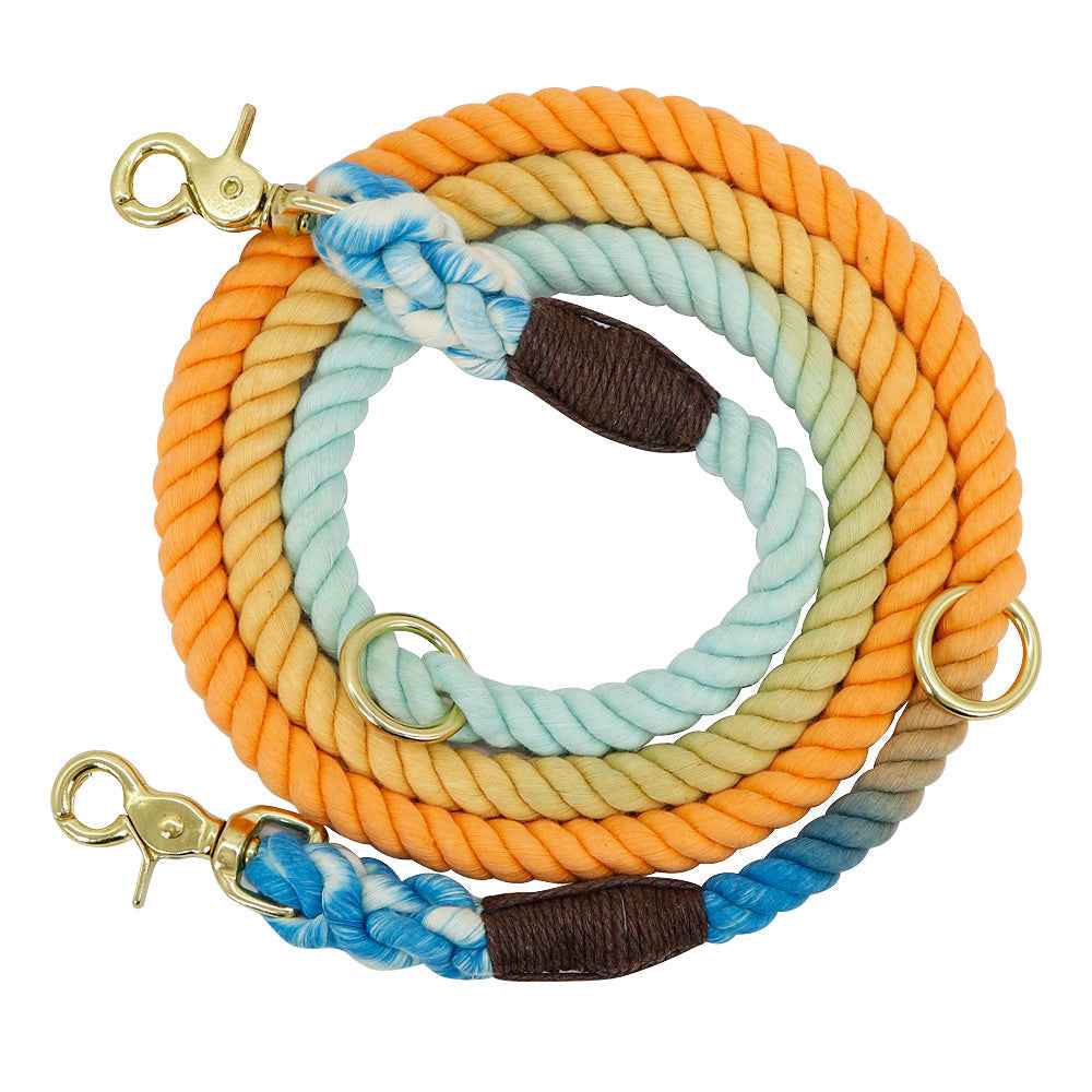 Colorful Gradient Dog Leash – Elevate Your Pup’s Style & Training Experience