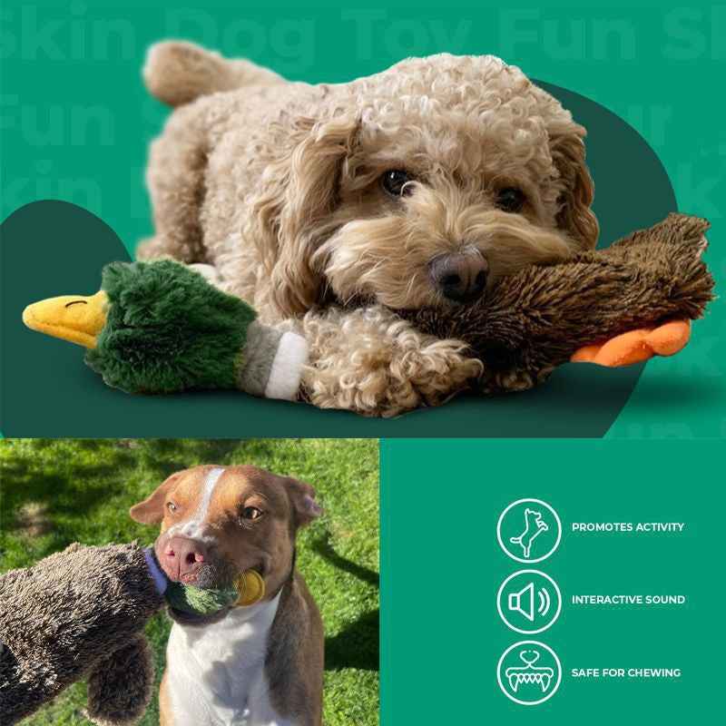 Best Pet Supplies 2-in-1 Stuffless Squeaky Dog Toys for Endless Fun