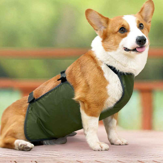 Water Resistant Dog Apron - Keep Your Medium to Large Dog Clean and Happy!