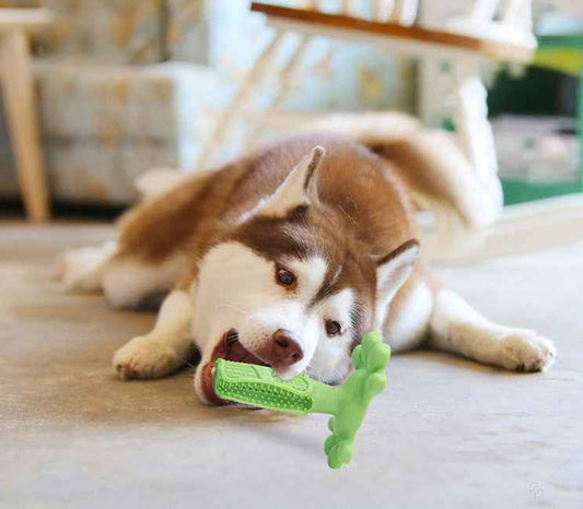Essential Dog Dental Chew Toy: Keep Your Pup's Teeth Healthy and Happy
