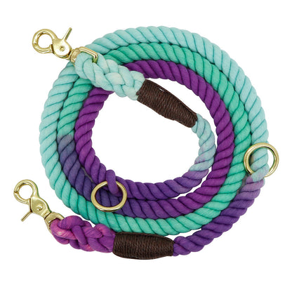 Colorful Gradient Dog Leash – Elevate Your Pup’s Style & Training Experience