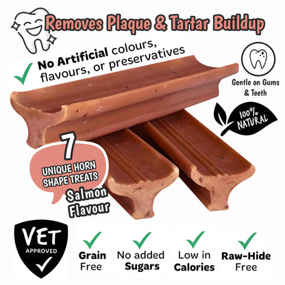 Gently Dently Salmon Dental Treats for Dogs - Natural & Effective Dental Care