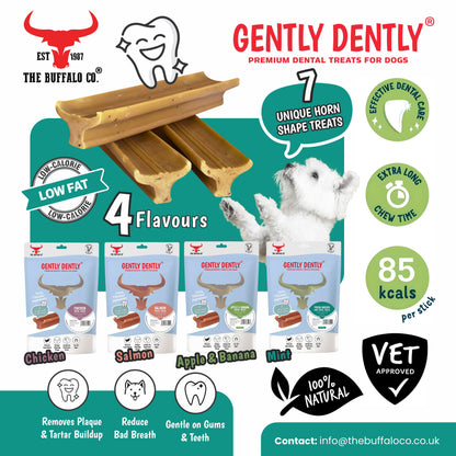 Gently Dently Salmon Dental Treats for Dogs - Natural & Effective Dental Care